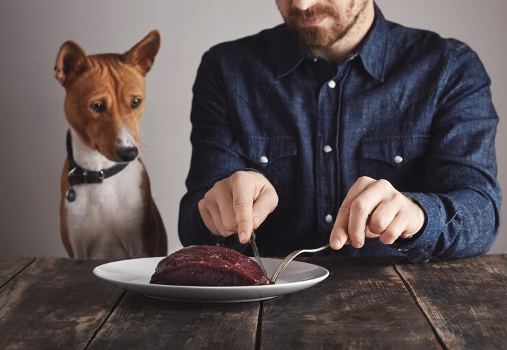 How to Choose the Right Dog Food for Your Pet’s Age